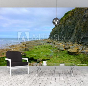 Bild på Falaises de port en bessin 